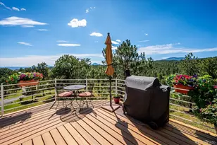 179 Camprobber Ct, Bailey, CO 80421 - Photo 31