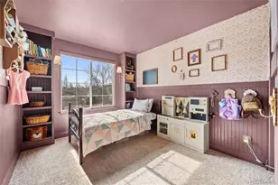 5875 Cheetah Chase, Lone Tree, CO 80124 - Photo 17