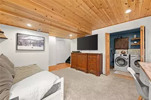 5875 Cheetah Chase, Lone Tree, CO 80124 - Photo 23