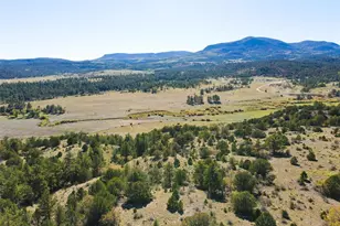 000 Rosebush Rd, Canon City, CO 81212 - Photo 1