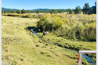000 Rosebush Road, Canon City, CO 81212 - Photo 3