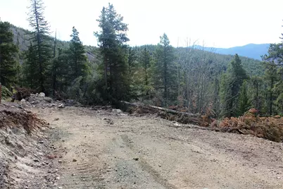 4-1 Lamertine Road, Idaho Springs, CO 80452 - Photo 3