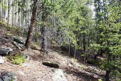 4-1 Lamertine Road, Idaho Springs, CO 80452 - Photo 11