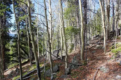 4-1 Lamertine Road, Idaho Springs, CO 80452 - Photo 13