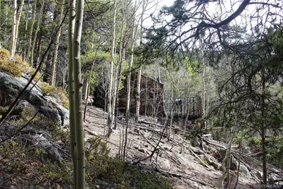 4-1 Lamertine Road, Idaho Springs, CO 80452 - Photo 15