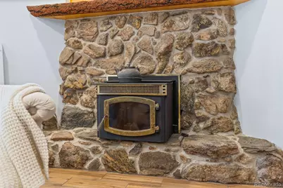 987 Wisp Creek Drive, Bailey, CO 80421 - Photo 13