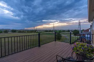 11569 S Flower Mound Way, Parker, CO 80134 - Photo 45