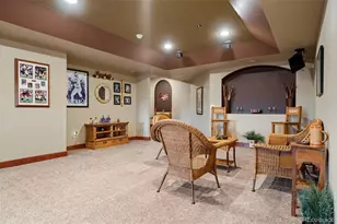 11569 S Flower Mound Way, Parker, CO 80134 - Photo 31