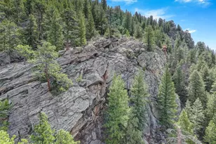 338 Red Lily Pl, Evergreen, CO 80439 - Photo 49