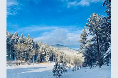 338 Red Lily Place, Evergreen, CO 80439 - Photo 25