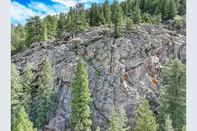 338 Red Lily Place, Evergreen, CO 80439 - Photo 39