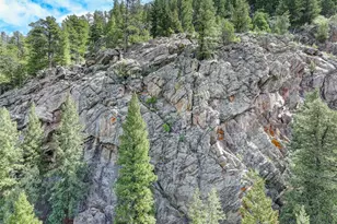 338 Red Lily Pl, Evergreen, CO 80439 - Photo 39