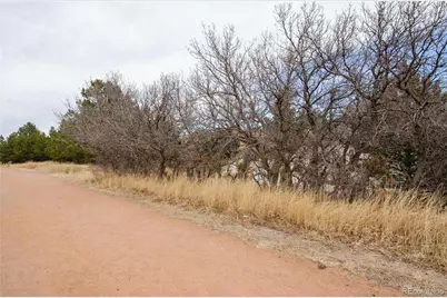 784 Century Lane, Monument, CO 80132 - Photo 43