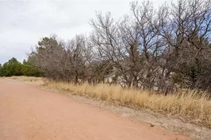 784 Century Ln, Monument, CO 80132 - Photo 43