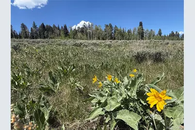 Spring Creek Ranch Road, Silverthorne, CO 80498 - Photo 9