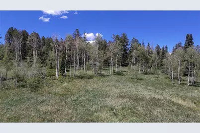 Spring Creek Ranch Road, Silverthorne, CO 80498 - Photo 23