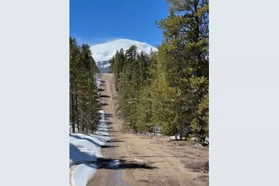 123 Lodgepole Drive, Leadville, CO 80461 - Photo 3