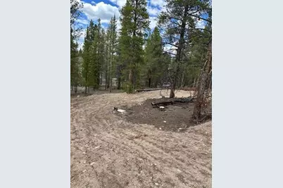 123 Lodgepole Drive, Leadville, CO 80461 - Photo 1