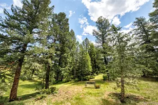 6608 Kiem Rd, Evergreen, CO 80439 - Photo 33