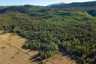 Lot 1 Snow Cap Peaks Rd, Alma, CO 80440 - Photo 1