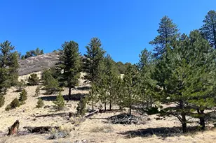 1500 Bunker Hill Rd, Westcliffe, CO 81252 - Photo 1