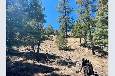 1500 Bunker Hill Road, Westcliffe, CO 81252 - Photo 19