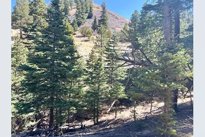 1500 Bunker Hill Road, Westcliffe, CO 81252 - Photo 17