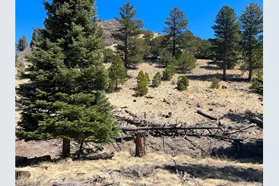 1500 Bunker Hill Road, Westcliffe, CO 81252 - Photo 7