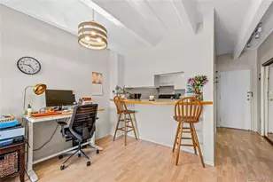 1265 Elizabeth Street, Denver, CO 80206 - Photo 5