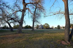 14667 Madison St, Brighton, CO 80602 - Photo 49