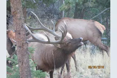 1295 Hy Vu Drive, Evergreen, CO 80439 - Photo 33