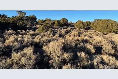 Lot 1018 Leonard Road, Fort Garland, CO 81133 - Photo 11