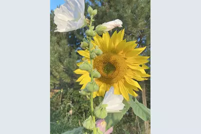 26155 E Jamison Circle S, Aurora, CO 80016 - Photo 39