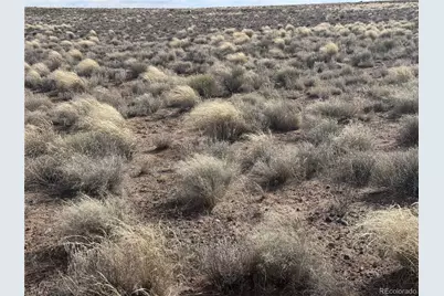 Lot 3 21st Street, Blanca, CO 81123 - Photo 9