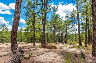13250 Mountain Meadow Trace, Weston, CO 81091 - Photo 43