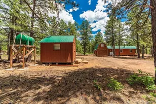 13250 Mountain Meadow Trace, Weston, CO 81091 - Photo 29