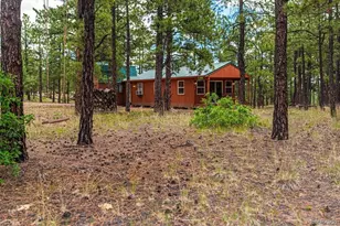 13250 Mountain Meadow Trace, Weston, CO 81091 - Photo 39