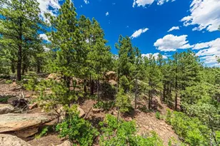 13250 Mountain Meadow Trace, Weston, CO 81091 - Photo 33