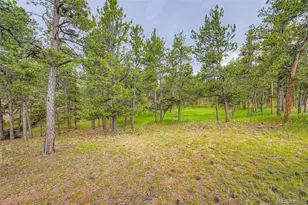 272 Calle del Sol, Florissant, CO 80816 - Photo 27