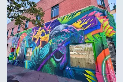 953 Kalamath Street, Denver, CO 80204 - Photo 27