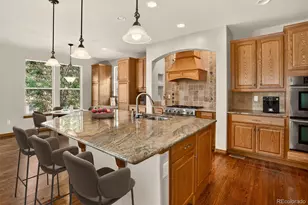 12012 S Allerton Cir, Parker, CO 80138 - Photo 5