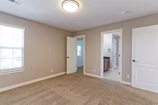6260 Saddleback Ave, Longmont, CO 80504 - Photo 33