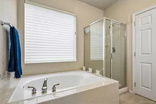10019 Boca Cir, Parker, CO 80134 - Photo 21
