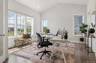 6295 Fulton Ct, Denver, CO 80238 - Photo 11