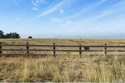 24908 E Alder Drive, Aurora, CO 80016 - Photo 31