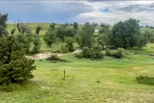 45612 Cottonwood Hills Dr, Parker, CO 80138 - Photo 29