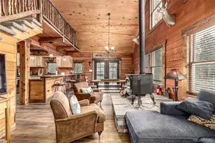 116 Dakota Path, Lake George, CO 80827 - Photo 9