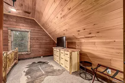 116 Dakota Path, Lake George, CO 80827 - Photo 21