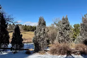 7361 Tenby Way, Castle Pines, CO 80108 - Photo 27