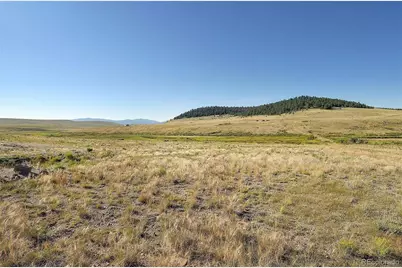 1245 Badger Creek Road, Hartsel, CO 80449 - Photo 17